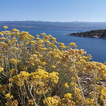 Design Verbenicum Vrbnik (Primorje-Gorski Kotar)