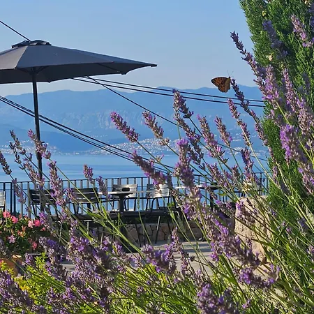 Hotel Design Verbenicum